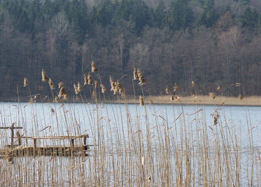 Jezioro Policko