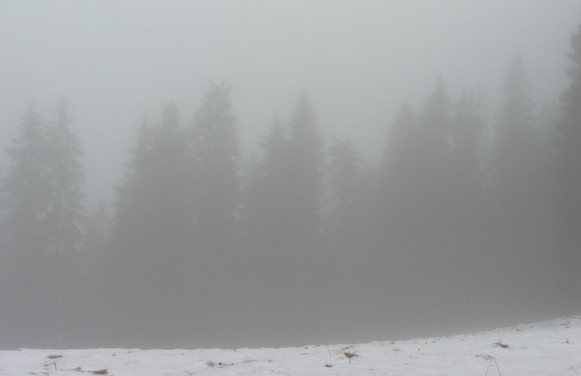 Mgły